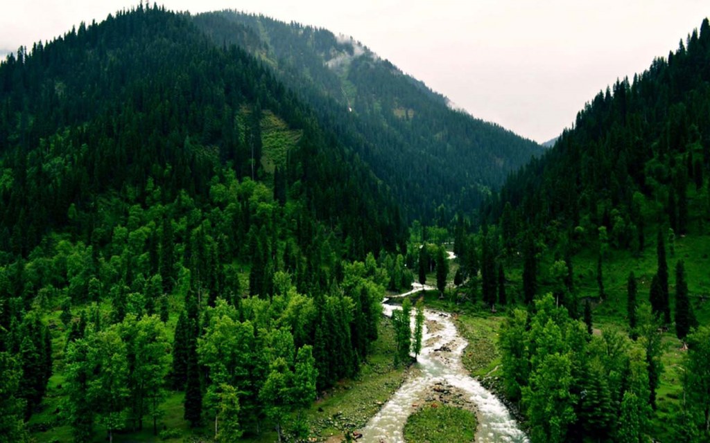 Places to visit in Galiyat D 09 10 1024x640 1