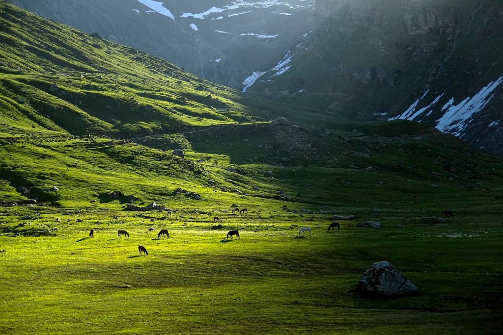 Shounter Valley Azad Kashmir 1